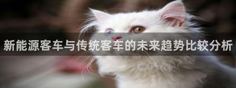 新宝gg会员:新能源客车与传统客车的未来趋势比较分析