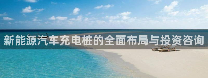 新宝gg群:新能源汽车充电桩的全面布局与投资咨询