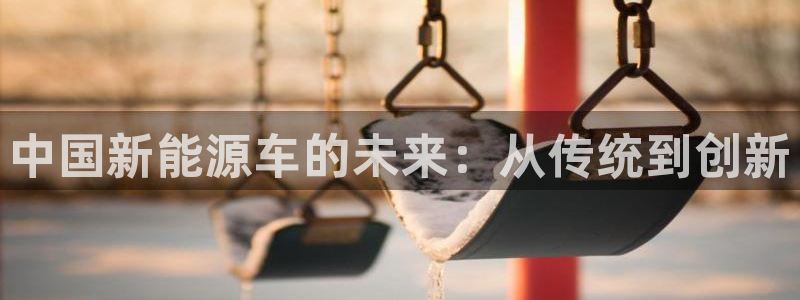 新宝gg注册新宝GG注册登录:中国新能源车的未来:从传统到创