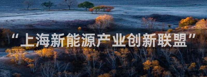 新宝Gg测速地址