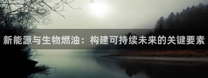 新宝gg如何做到总代理：新能源与生物燃油