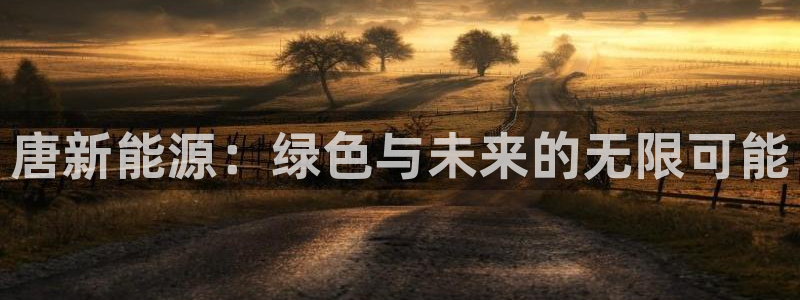 新宝gg注册网站：唐新能源：绿色与未来的