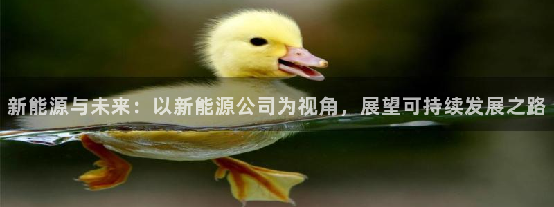 新宝GG类别78778：新能源与未来：以